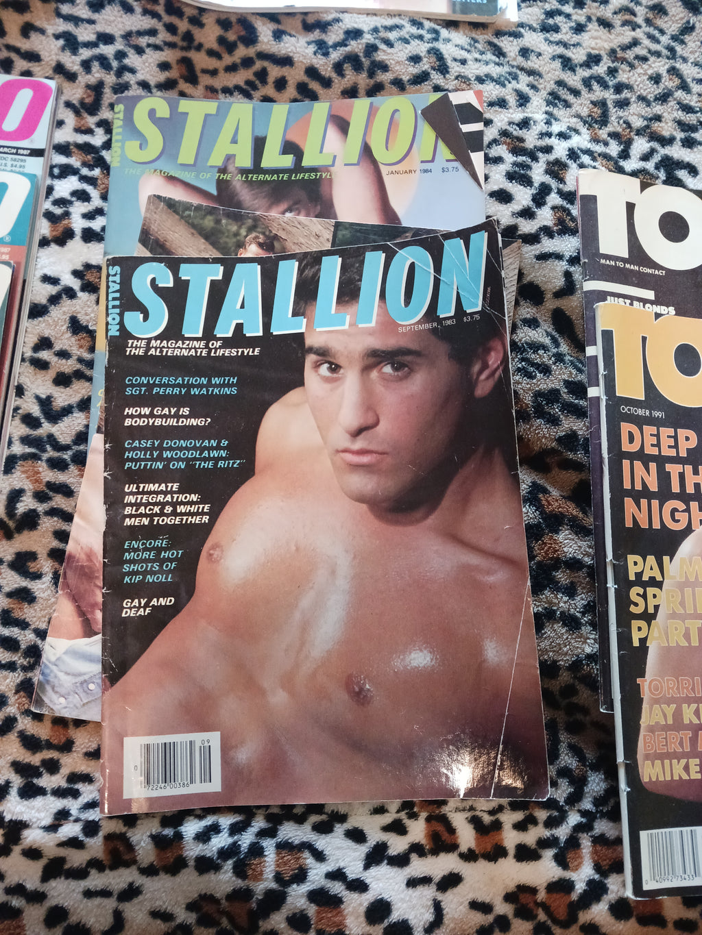 Vintage 80's Gay Men's Erotica Magazines! Queer Magic Fundraiser