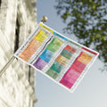 Geological Time Scale Pride Flag