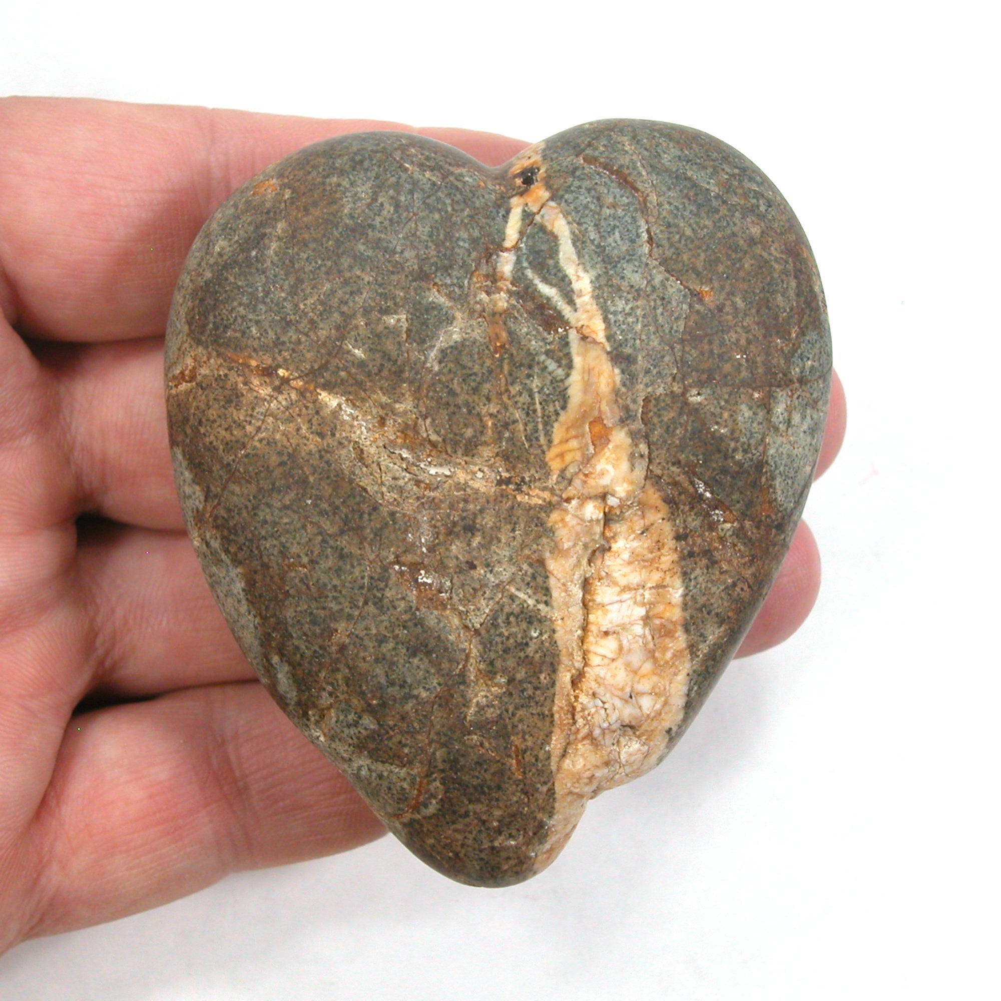 DVH Wolf Creek Radical Faerie Healed Heart Shark Palm Stone 66x56x24 (5338) Queer Magic